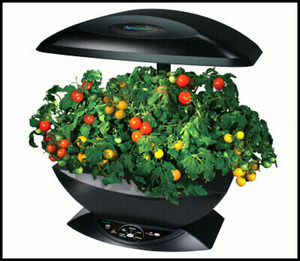 Aerogarden