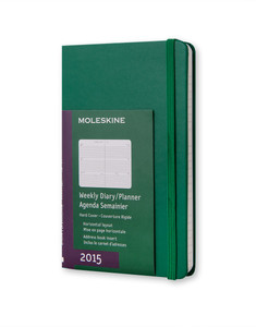 Green 2015 Moleskine Planner