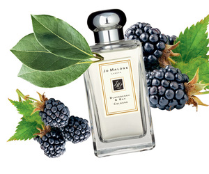 Jo Malone Blackberry and Bay