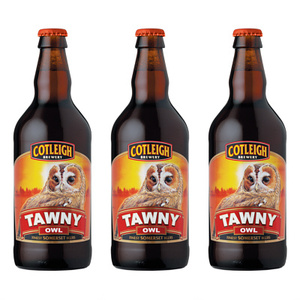 Tawny Owl beer