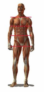 Новых крутых фоточек во весь рост