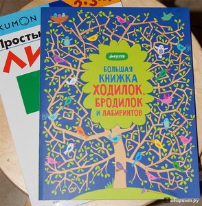 Большая книжка ходилок, бродилок и лабиринтов