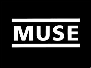 Билет на концерт Muse летом 2015