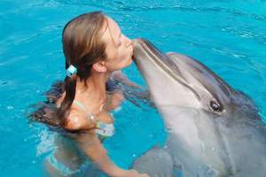 заплыв с дельфинами