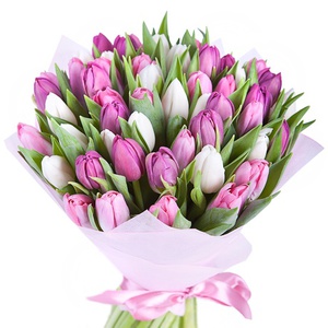 букет белых и фиолетовых тюльпанов