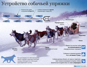 Сертификаты на активный отдых