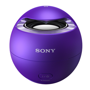 Sony SRS-X1 - Беспроводной портативный динамик с Bluetooth®