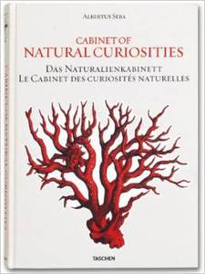 Cabinet of Natural Curiosities