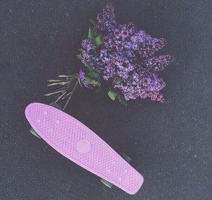 Penny Board