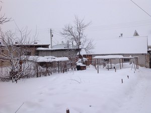 Чтобы в наш дом  в деревне вернулась жизнь