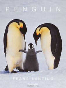 Frans Lanting: Penguin