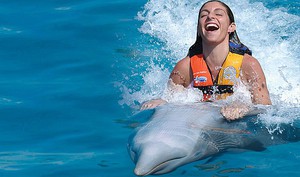 Купание с дельфинами