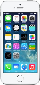 Apple iPhone 5s 32Gb (серебристый)