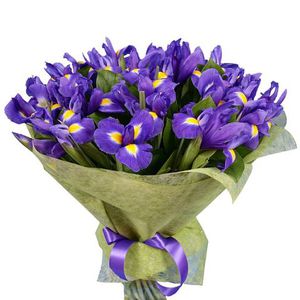 Букет из фиолетовых ирисов