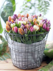Букет свежих тюльпанов