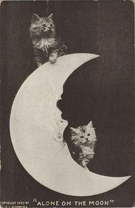 Cartoline d'epoca con gatti o panda | Старинные почтовые открытки с пандами или котиками