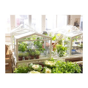 СОККЕР Теплица, белый д/дома/улицы, белый