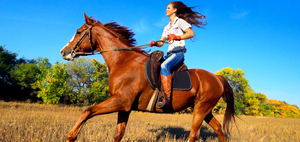 Конная прогулка