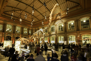 Посетить музей естествознания в Хельсинки