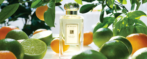 Lime Basil & Mandarin Cologne