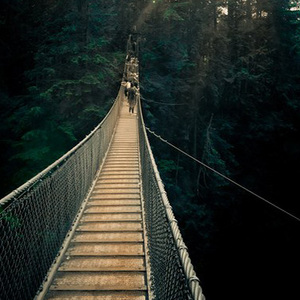 Rope bridge