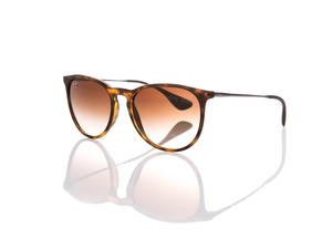 Ray ban sunglasses Erica (classic brown)