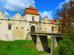 Замки Львова
