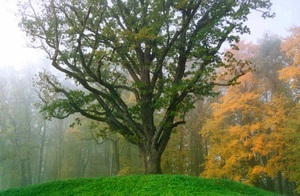 прогулка в тригорском