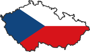 Чешский язык С1
