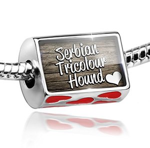 Sterling Silver Charm Serbian Tricolour Hound, Dog Breed Serbia - Bead Fit All