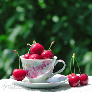 cherries