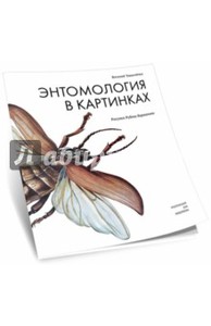 Виталий Танасийчук: Энтомология в картинках