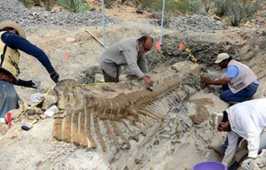 Наборы юного палеонтолога и археолога