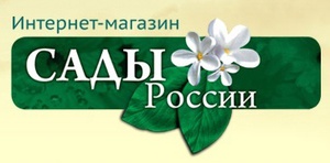 Заказать пионы и лютики в 2016