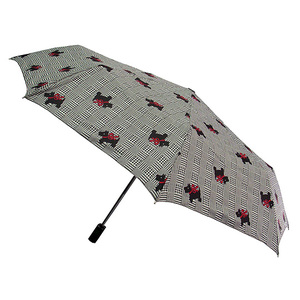 Новый зонт