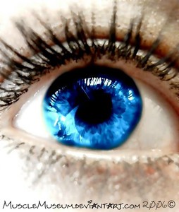 Капельки для глаз