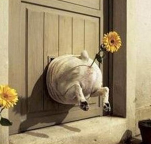 Цветов и шариков не надо