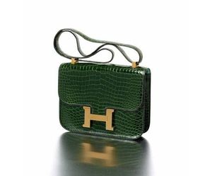 Сумка Hermes Constance Mini