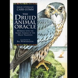 The Druid Animal Oracle