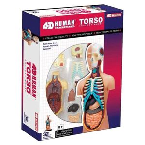 4D Puzzle Human Body Torso model