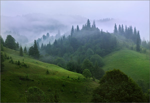 В Карпати