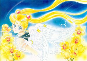 Bishoujo Senshi Sailor Moon Original Picture Collection Vol. V