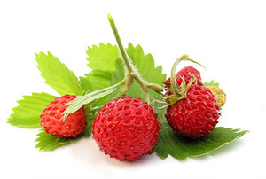 Земляника (Strawberry)