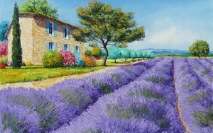 Provence