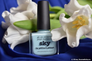 Picture Polish Sky