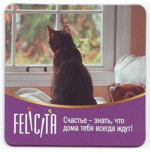 магнитики felicita