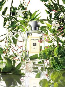 Jo Malone - White Jasmin and Mint (30 ml)