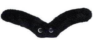 Птичий грипп (грипп вирус H5N1)