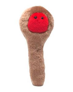 Столбняк (Clostridium)