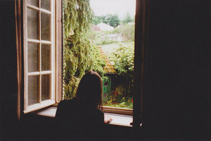 Books, trees, windowsill